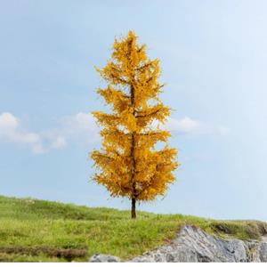 Noch Lärcheherbstlich.jpg
